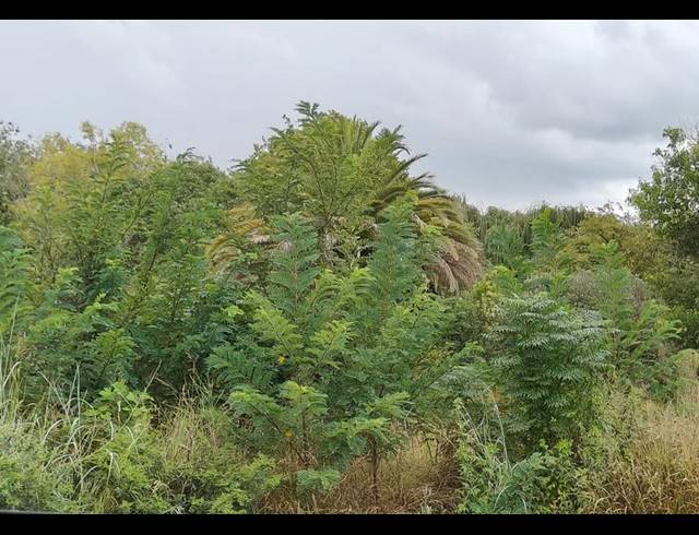 LAND FOR SALE IN RASLOUW